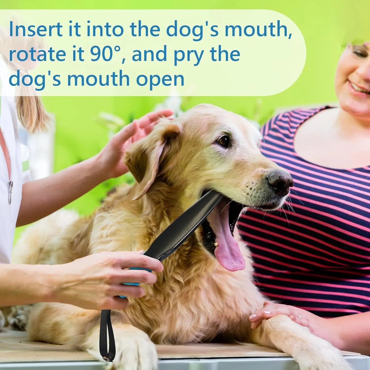 Blue-handled nylon dog bite training stick measuring 35cm in length for small and medium breeds.