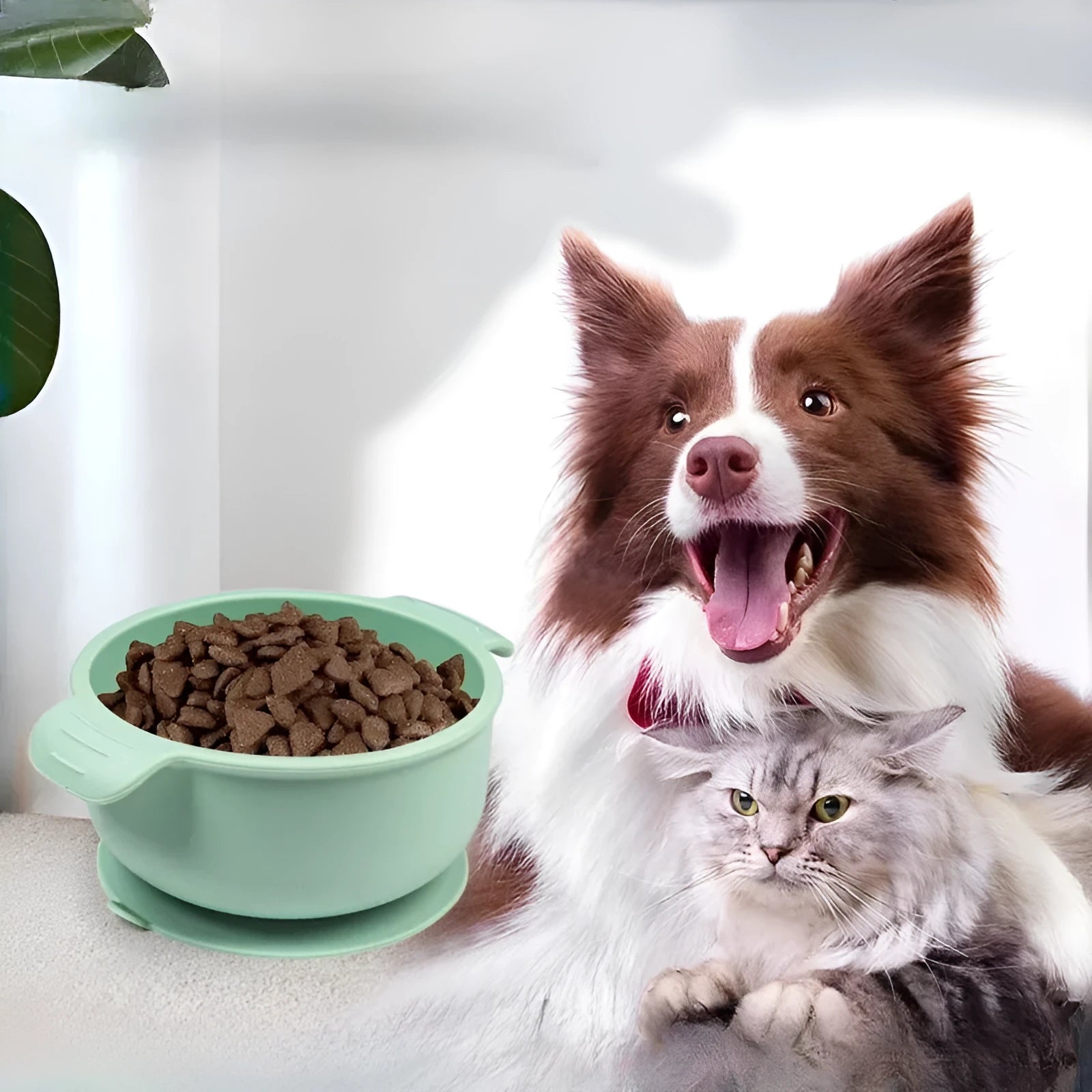 Blue silicone pet bowl for dogs and cats with a non-slip suction cup base on a hardwood floor.