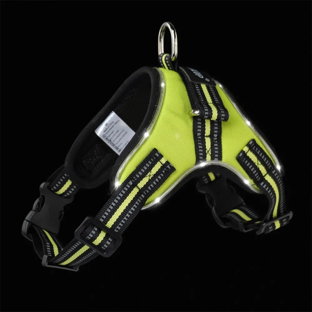 LED dog collar in 1000D Oxford with reflective strips, waterproof build, control handle, and 5 sizes