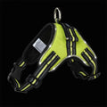LED dog collar in 1000D Oxford with reflective strips, waterproof build, control handle, and 5 sizes