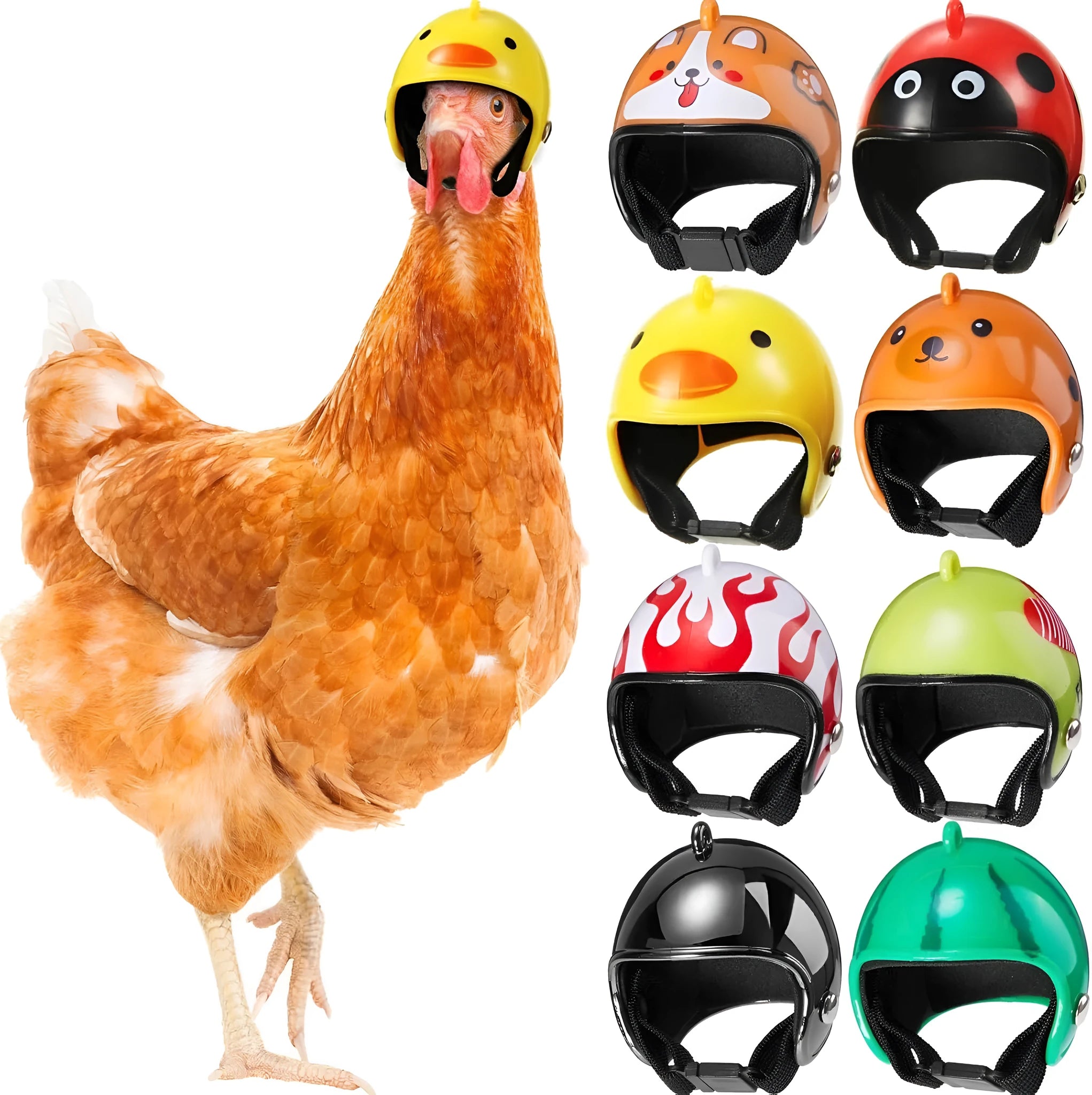 Adjustable PP plastic pet helmet for small chickens and birds with elastic bands and sponge lining