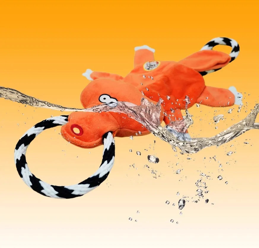 Two cotton string molar sound dog toys in suit colour on a surface