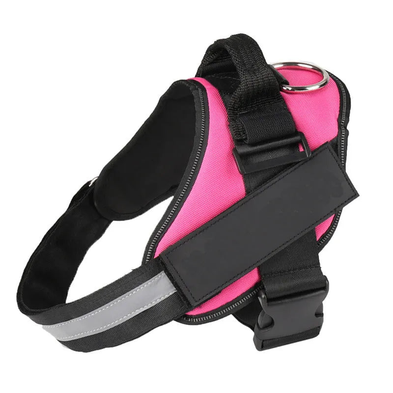 Adjustable nylon no-pull dog harness with reflective tape and a back handle on a dog.