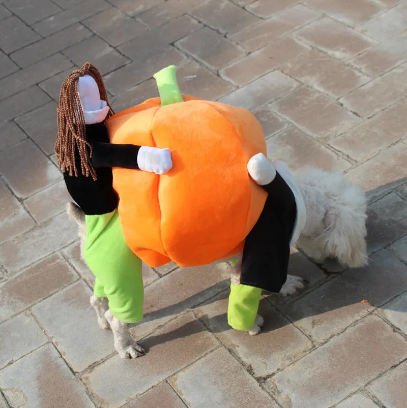 Black velvet Halloween pumpkin dog costume with size options from S to XXL for small to large dogs