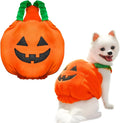 Orange plush pumpkin Halloween costume on small dog with stem decoration and pullover design
