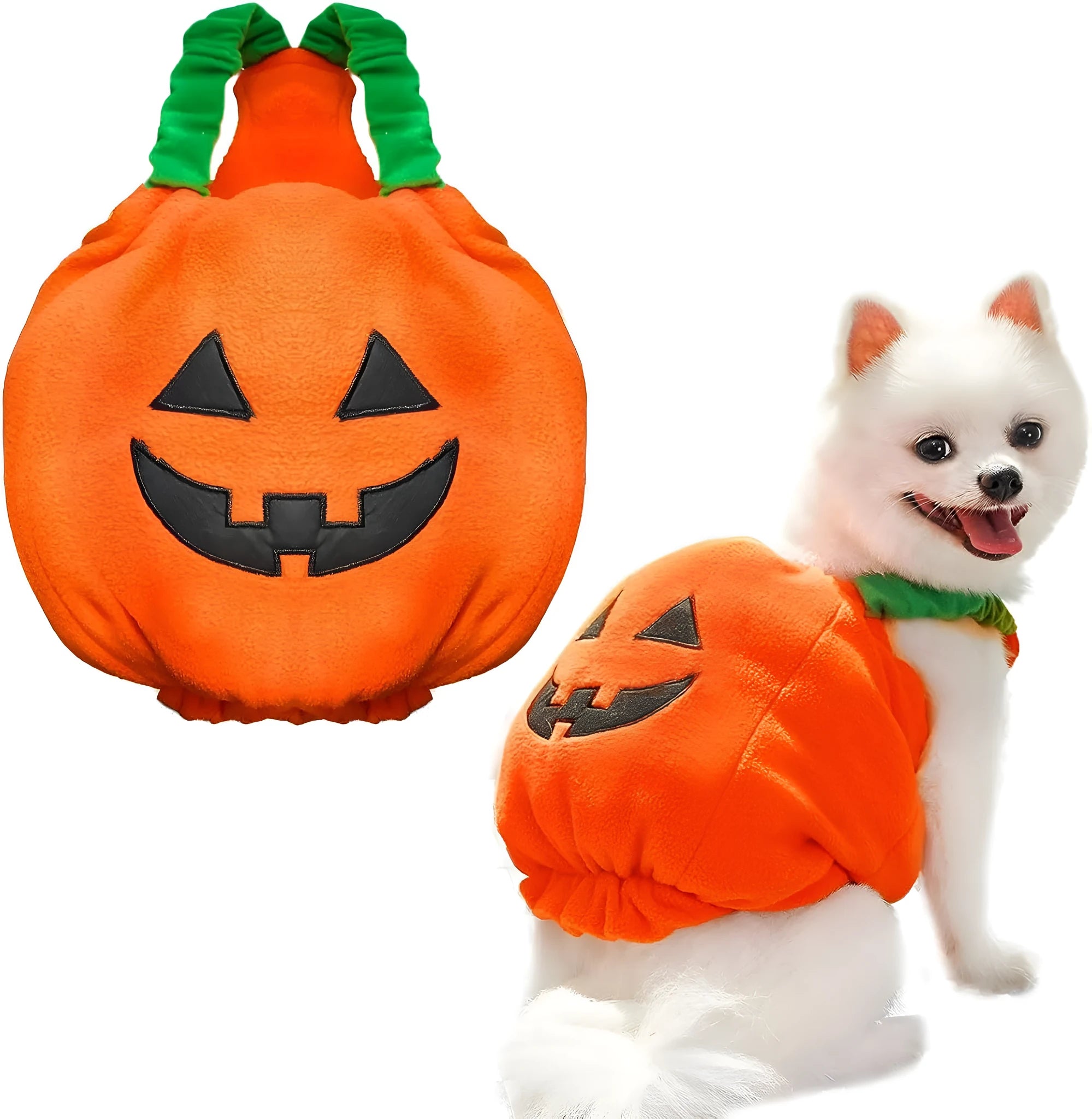 Orange plush pumpkin Halloween costume on small dog with stem decoration and pullover design