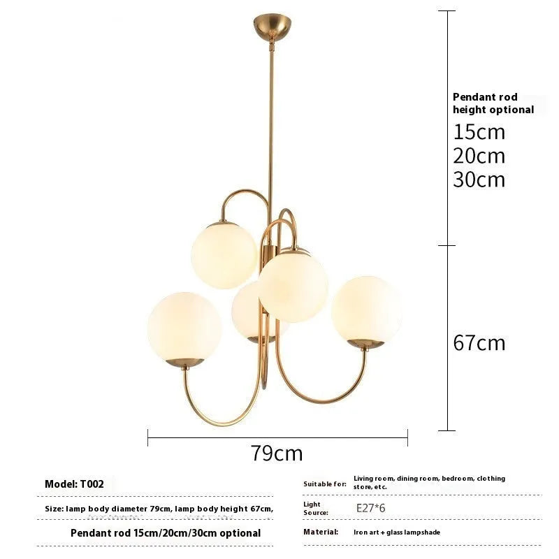 Modern iron droplight with black finish and warm light, size 790x680mm, for living room or restaurant use