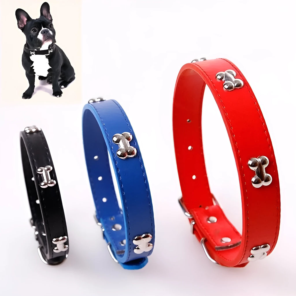 Pet leather collar with metal buckle in five colours for dogs and cats in M and S sizes