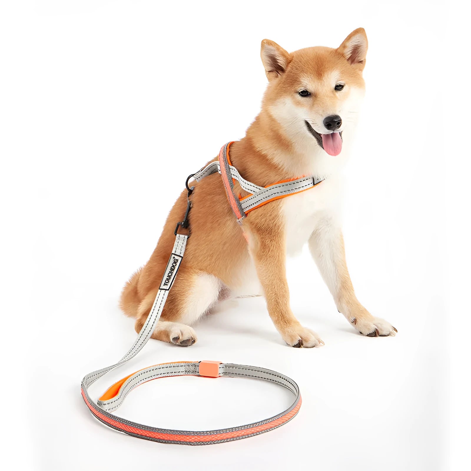 LED dog leash in nylon for medium dogs, colour as shown, with built-in light