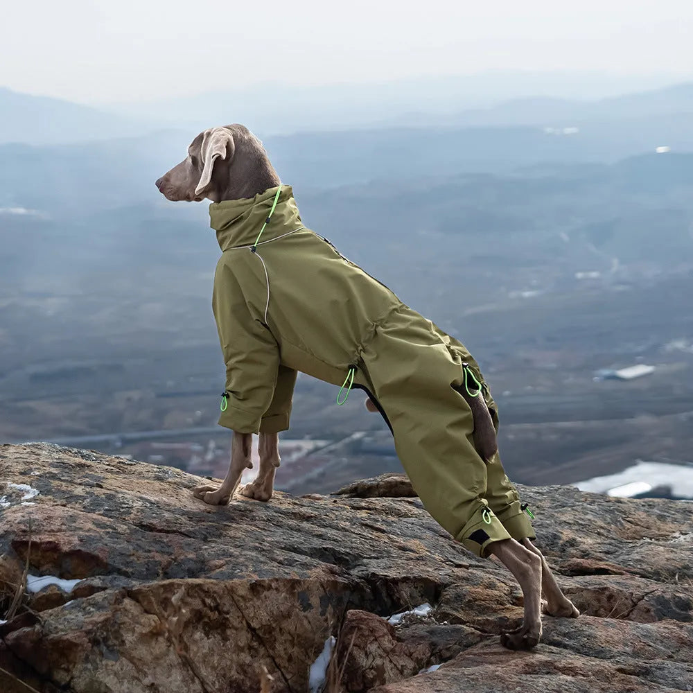 Large dog wearing a windproof four-leg polyester jacket with turtleneck in Turmeric colour