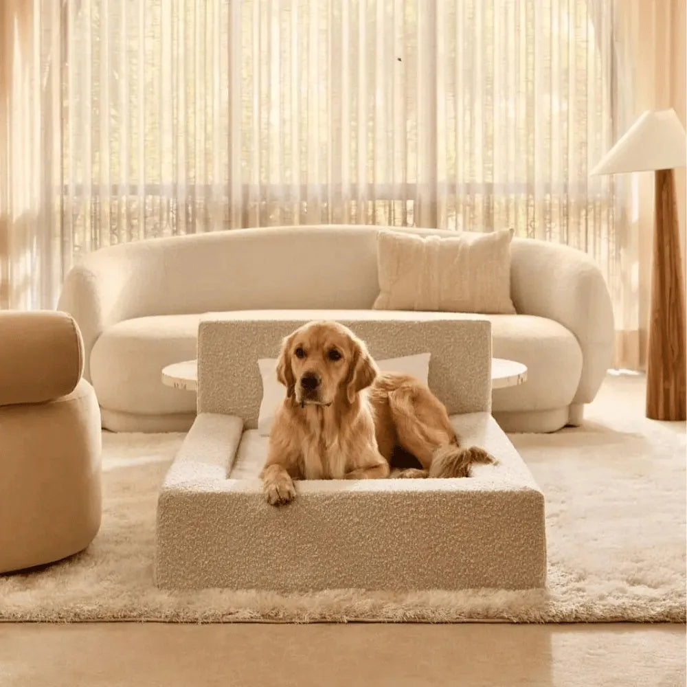 White rectangular dog mat with backrest and sponge filling in L size on a floor