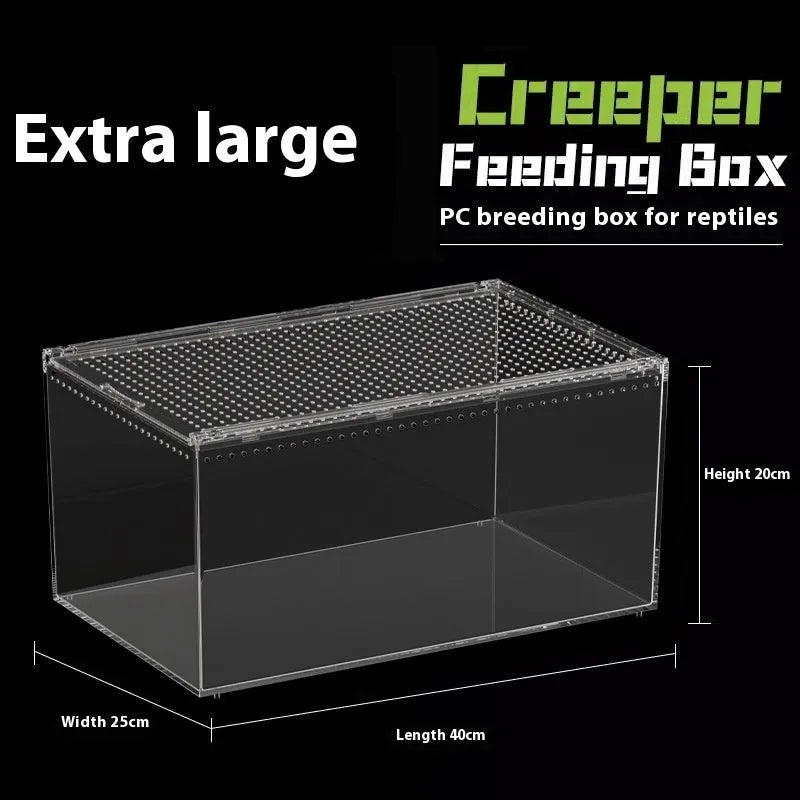 Clear acrylic reptile feeding box showing transparent sides and ventilation, next to a size chart.