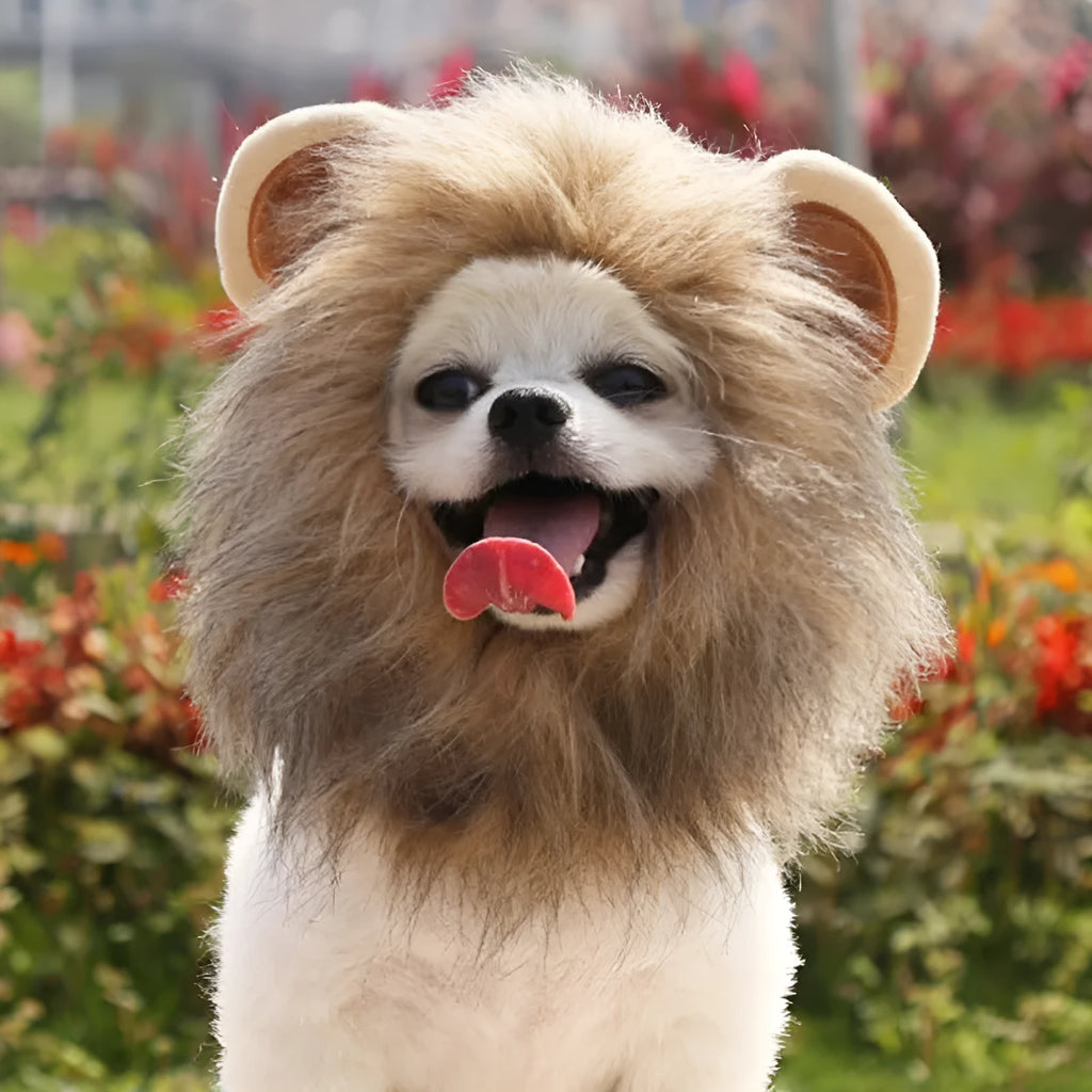 Acrylic lion mane pet hat in brown with three-colour hair styling, designed for cats and small dogs, size S