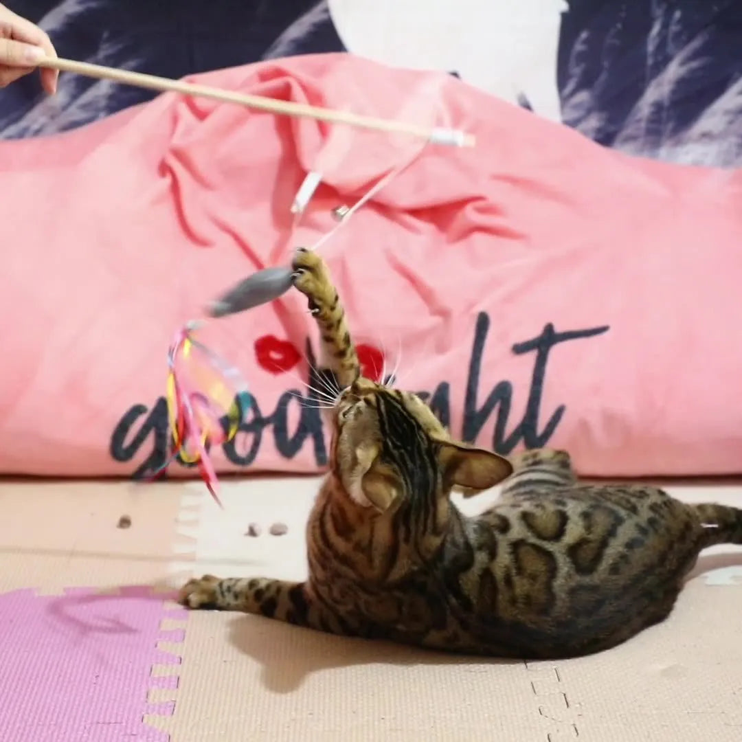 Colourful cat wand toy with ribbons, catnip fish, and bell on a wooden handle for indoor cats