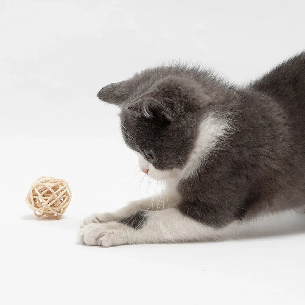 Two cat toys: rattan ball with bell and colourful faux feather ball for interactive play