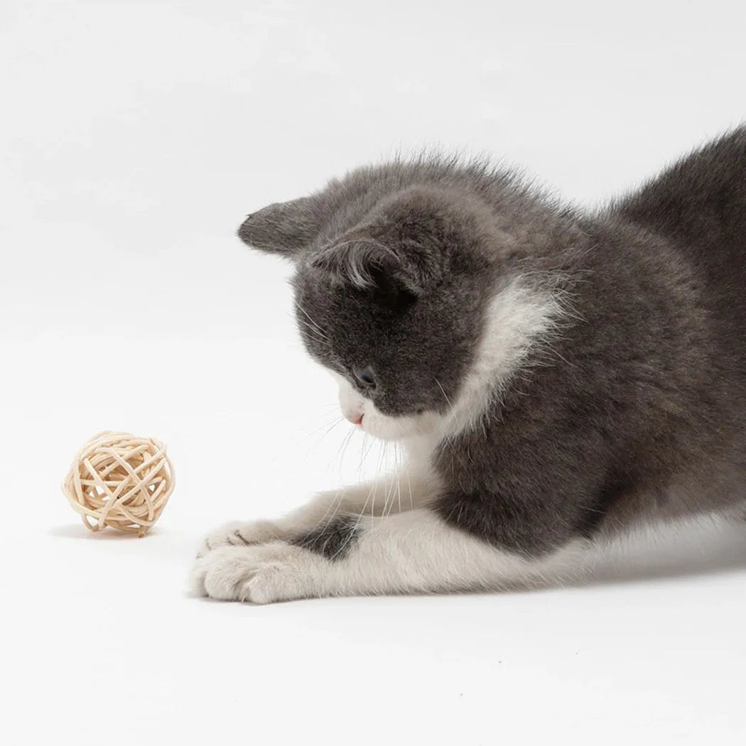 Two cat toys: rattan ball with bell and colourful faux feather ball for interactive play