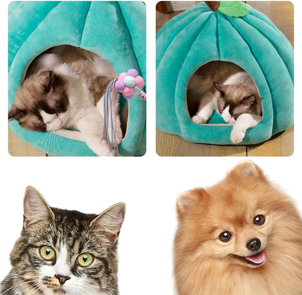 Pumpkin-shaped plush cat cave bed with a round entry hole, shown in blue colour