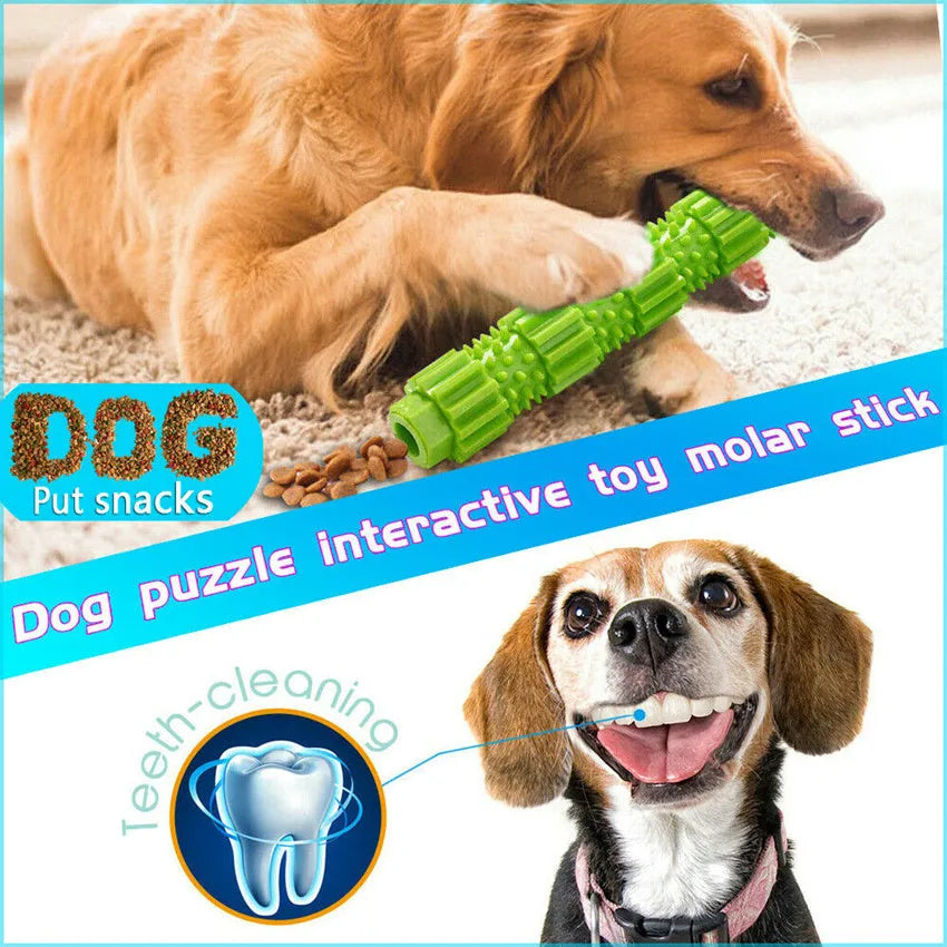 Green and orange rubber dog chew toy with treat dispensing compartment and squeaker for aggressive chewers