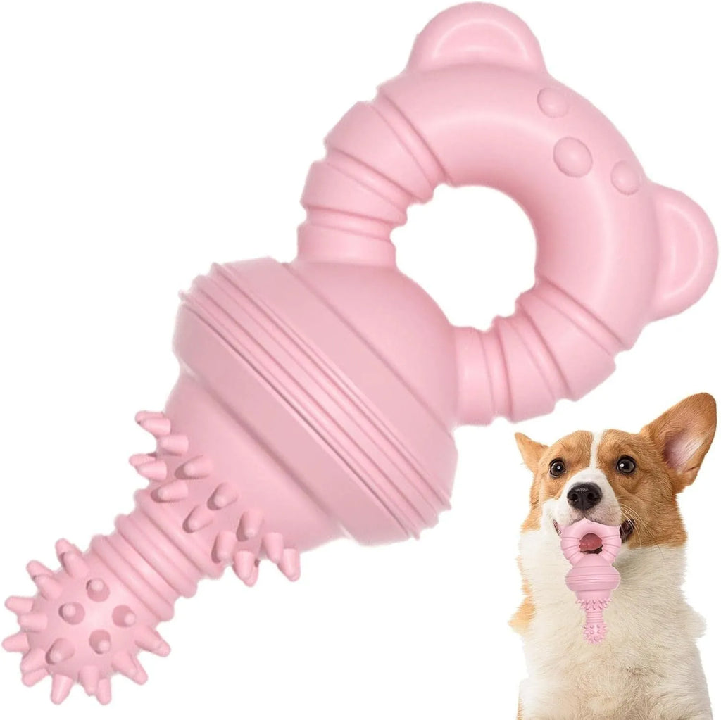 Blue rubber dog chew toy shaped like a molar with textured surface for teeth cleaning.