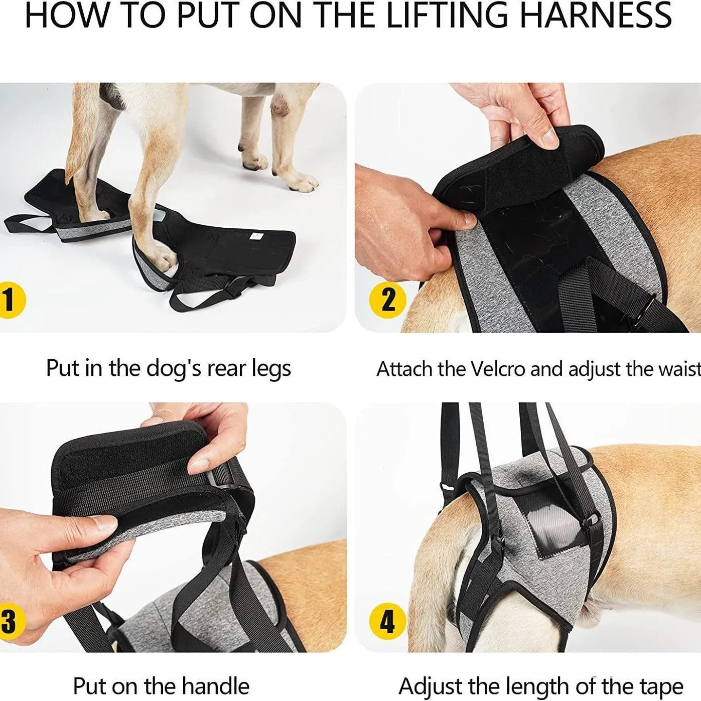 Grey neoprene dog recovery belt for rear leg injury support with sizing chart