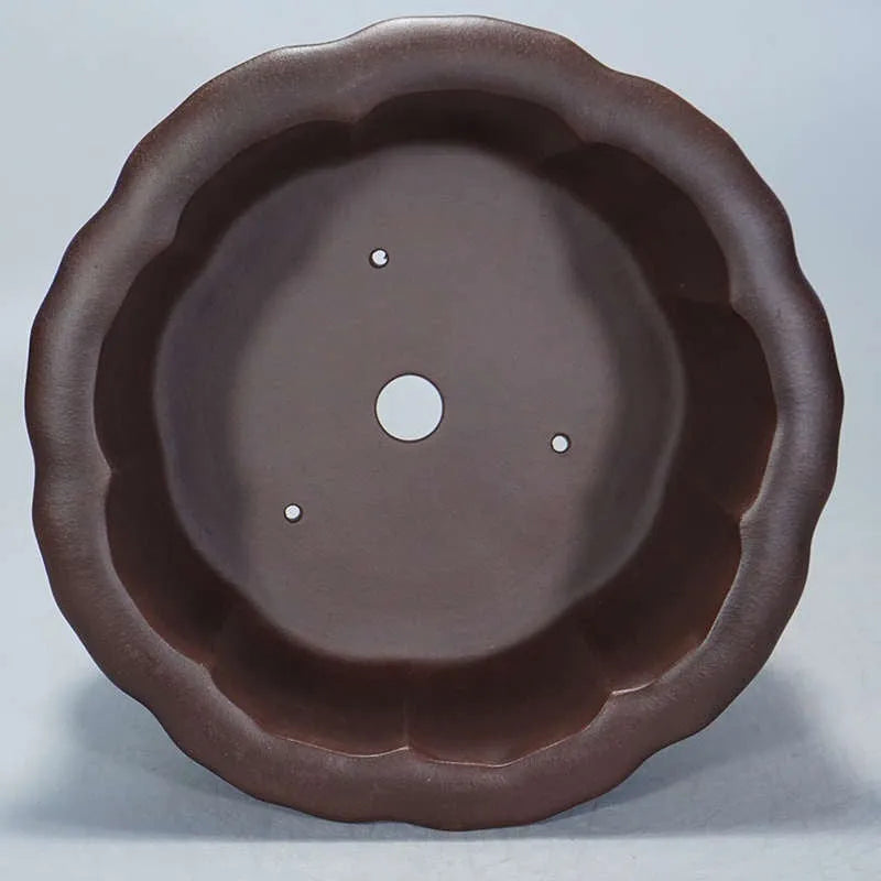 Square purple-red antique Petal Basin flowerpot for bonsai plants on a surface.