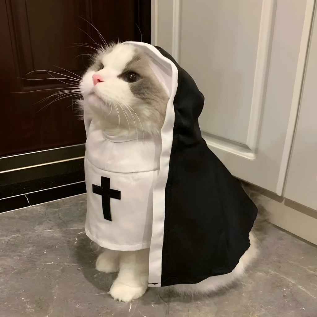 Black and white nun costume cloak for a small dog on Halloween