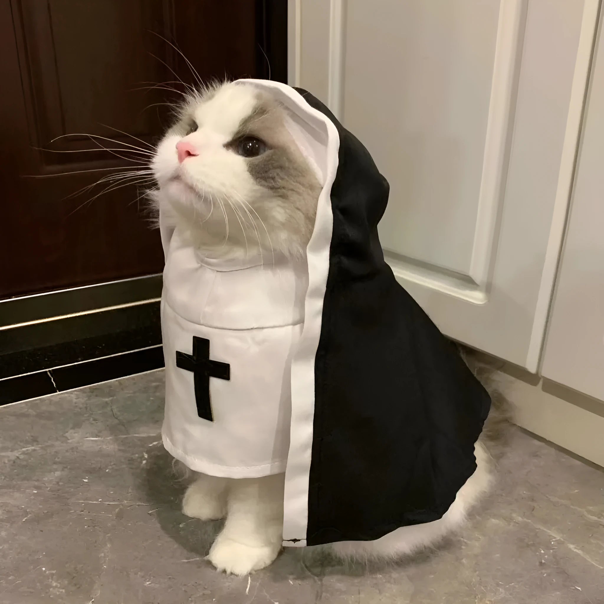 Black and white nun costume cloak for a small dog on Halloween