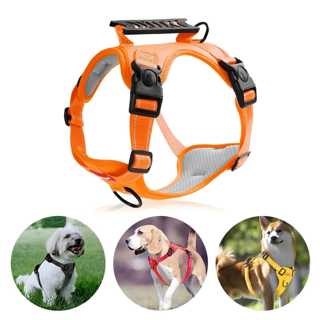 Polyester dog chest harness and leash in multiple colours including red, blue, and yellow on size options from XS to XL.