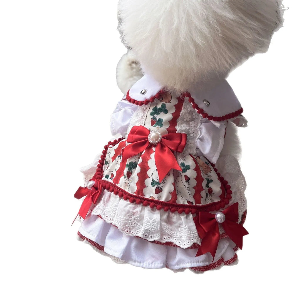 Small white dog wearing a light-coloured princess dress with a fluffy rabbit skirt attached.
