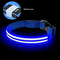 Shiny nylon dog collar with double fiber and luminous modes in blue, green, and red options on a pet