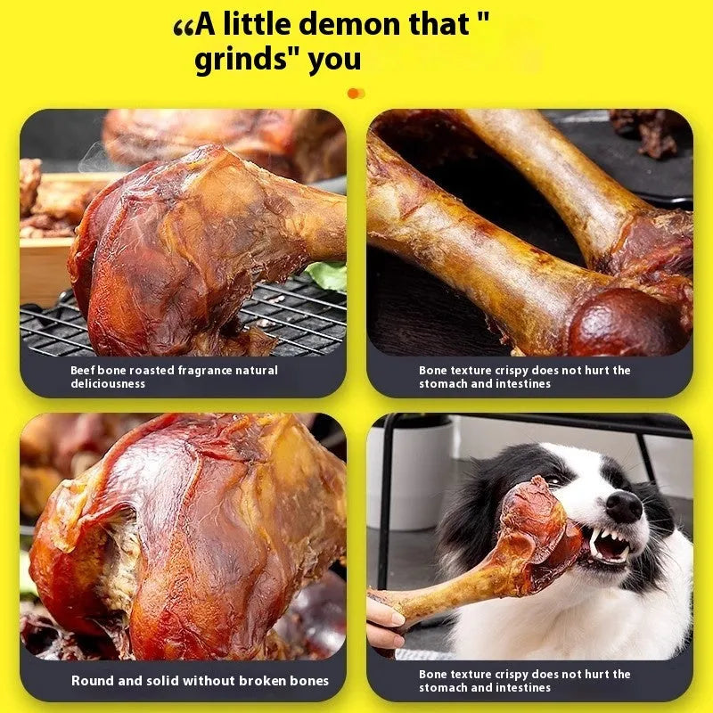 High-calcium dog molar chew toy in roasted ox bone flavour, shown in large, medium, and small sizes.