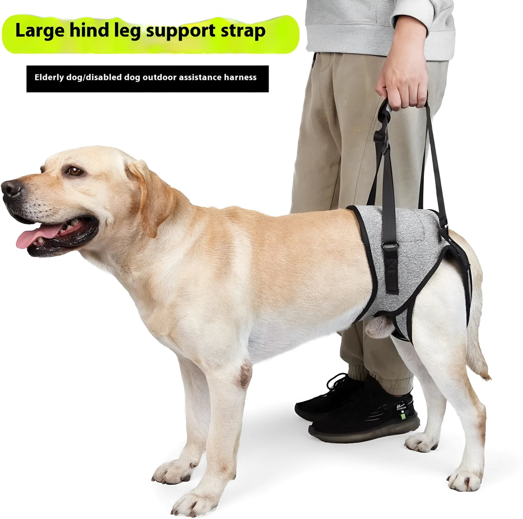 Grey neoprene dog recovery belt for rear leg injury support with sizing chart
