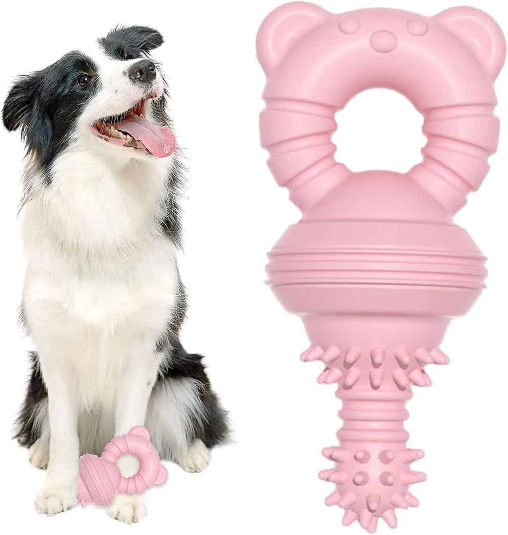 Blue rubber dog chew toy shaped like a molar with textured surface for teeth cleaning.