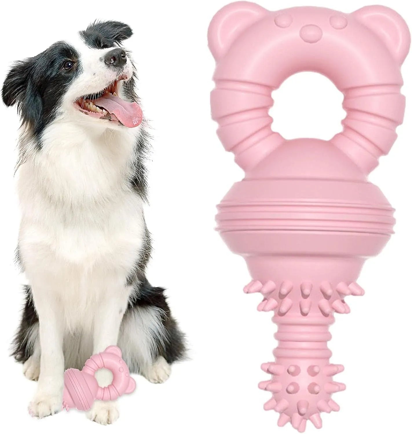 Blue rubber dog chew toy shaped like a molar with textured surface for teeth cleaning.