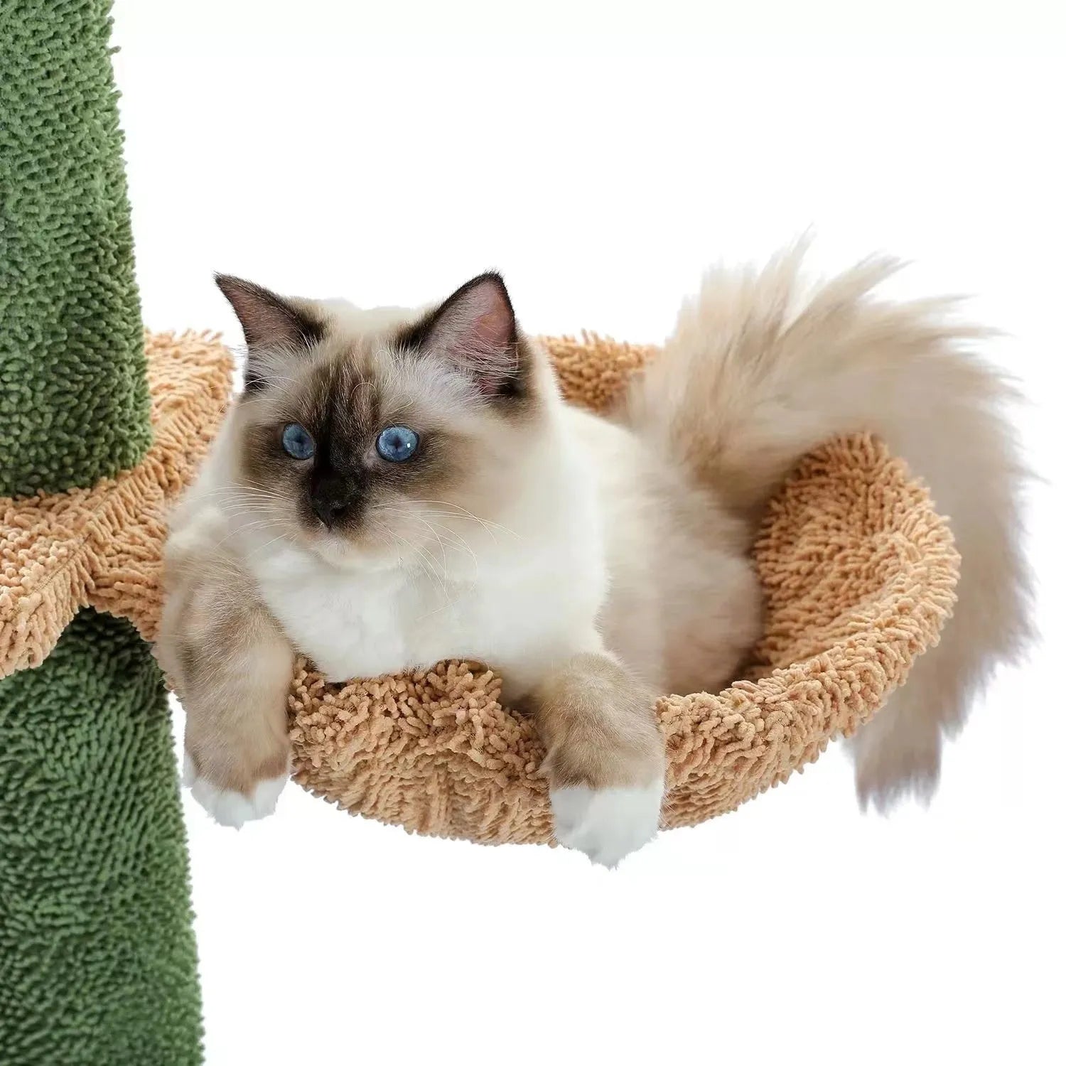 Tall solid wood cat climbing frame with integrated scratch board and cat nest.