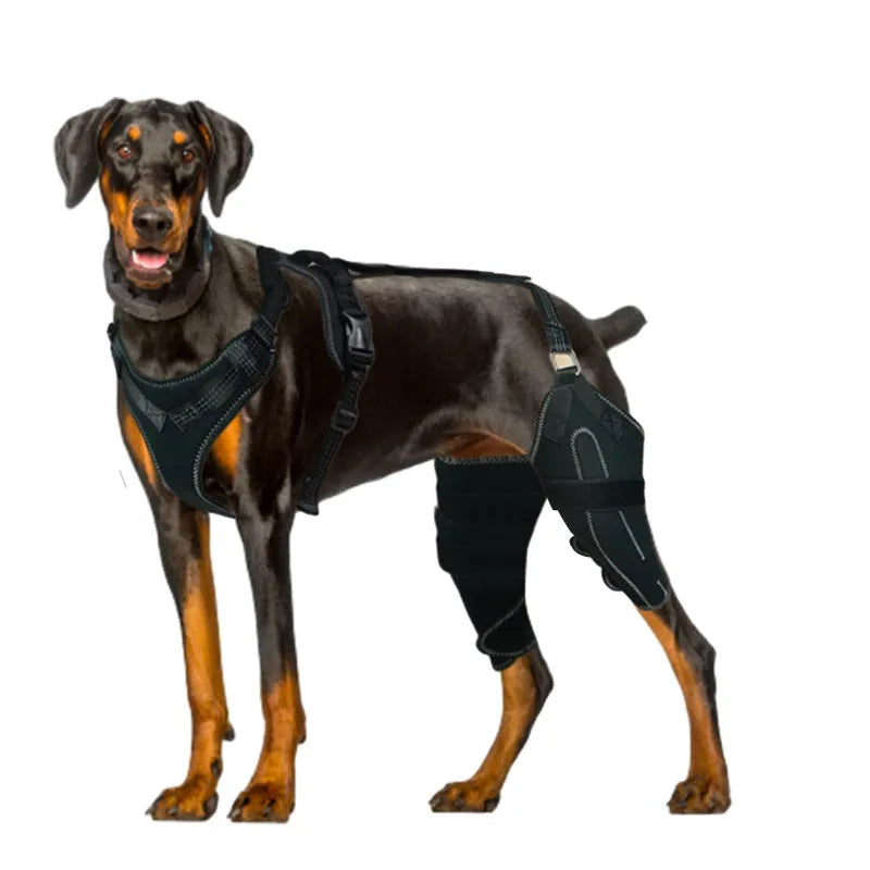 Black dog thigh protective sleeve with adjustable metal brace for postoperative recovery in medium size