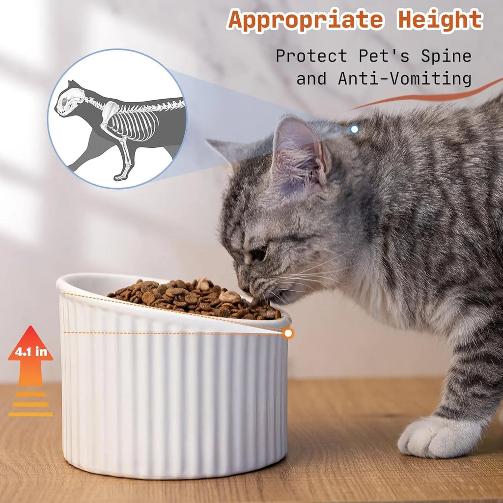 Dark green ceramic elevated cat bowl with tilted design on a raised platform.