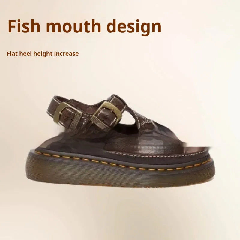 Men's embroidered beach sandals with floral pattern in black and brown colours, sizes 39-48