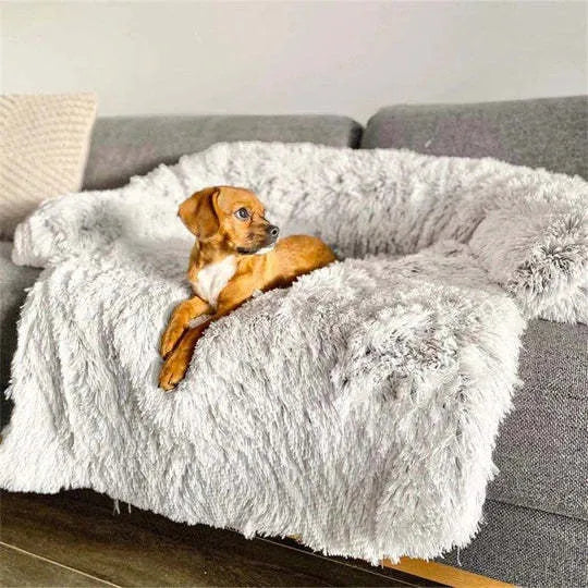 Grey orthopaedic memory foam dog bed with removable cover and non-slip bottom, available in S, M, L sizes