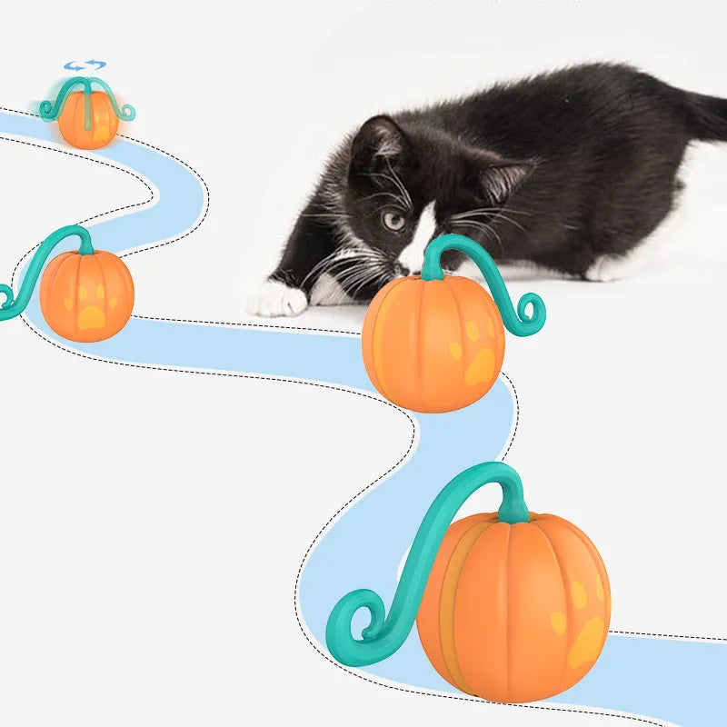 Electric cat toy ball with LED lights in watermelon green and pumpkin orange colours