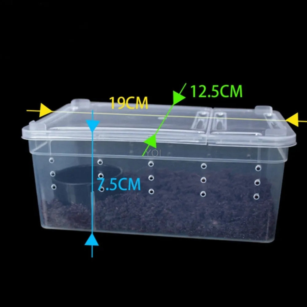 Plastic transparent reptile feeding box 19x12.5x7.5cm for reptile and amphibian transport and breeding