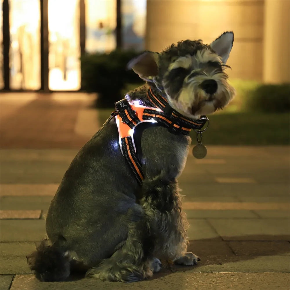LED dog collar in 1000D Oxford with reflective strips, waterproof build, control handle, and 5 sizes