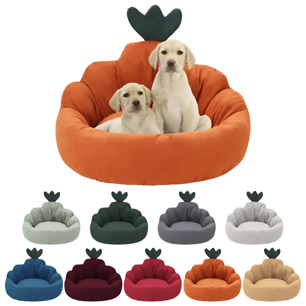 Carrot Kennel universal dog bed for small and medium dogs in blue plush fabric with raised edges