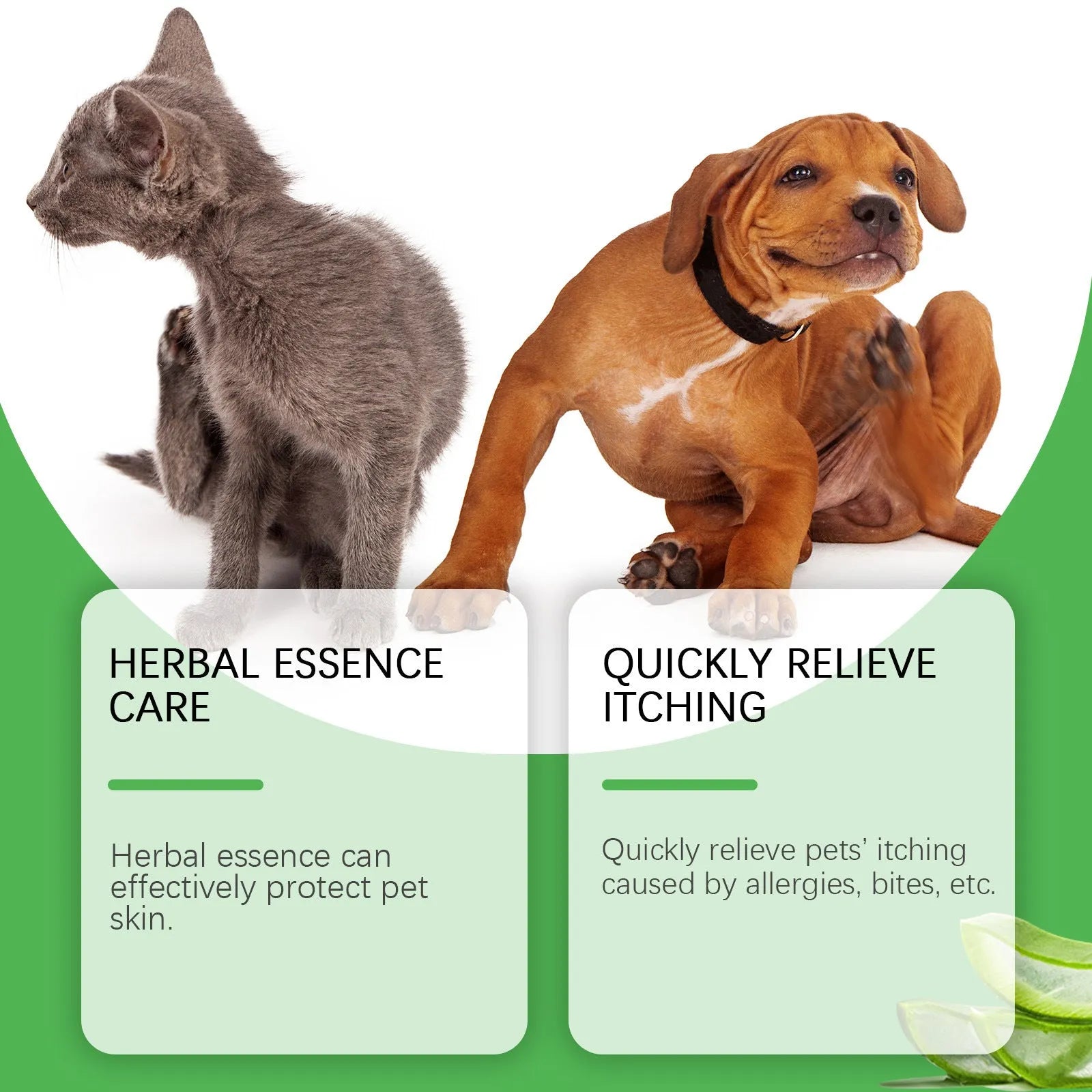 60g tube of pet antipruritic cream for cats with tea tree oil and aloe vera.