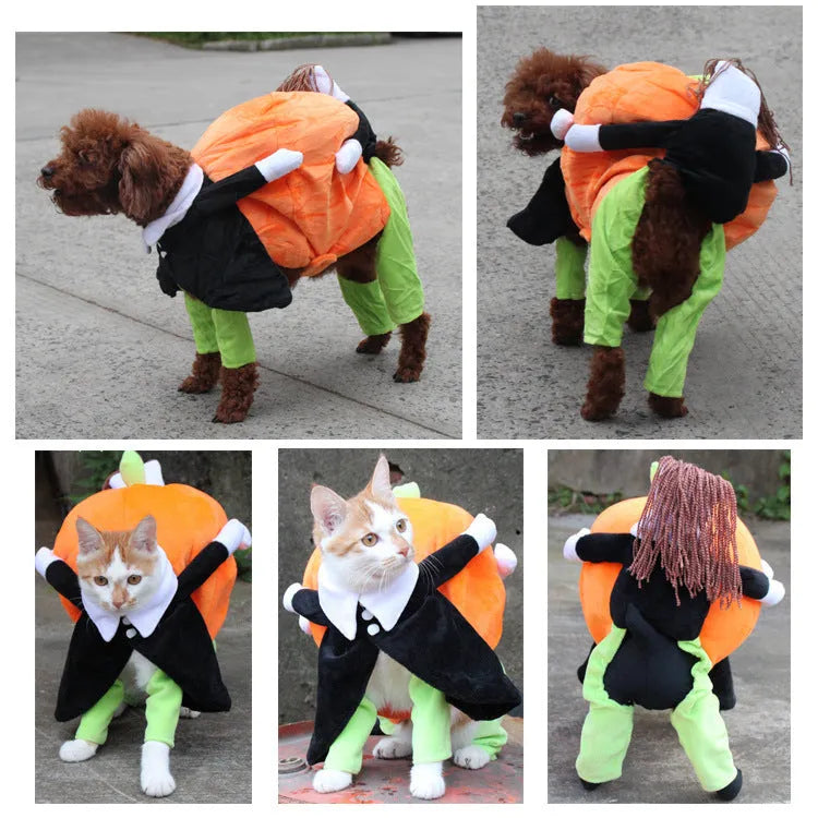 Black velvet Halloween pumpkin dog costume with size options from S to XXL for small to large dogs