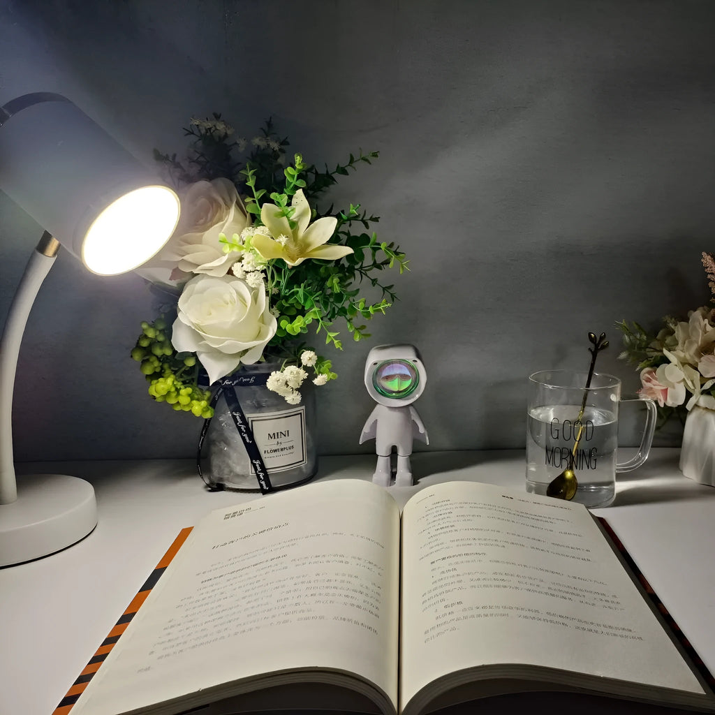 Black double-headed photography streaming desk lamp with metal holder and wire switch