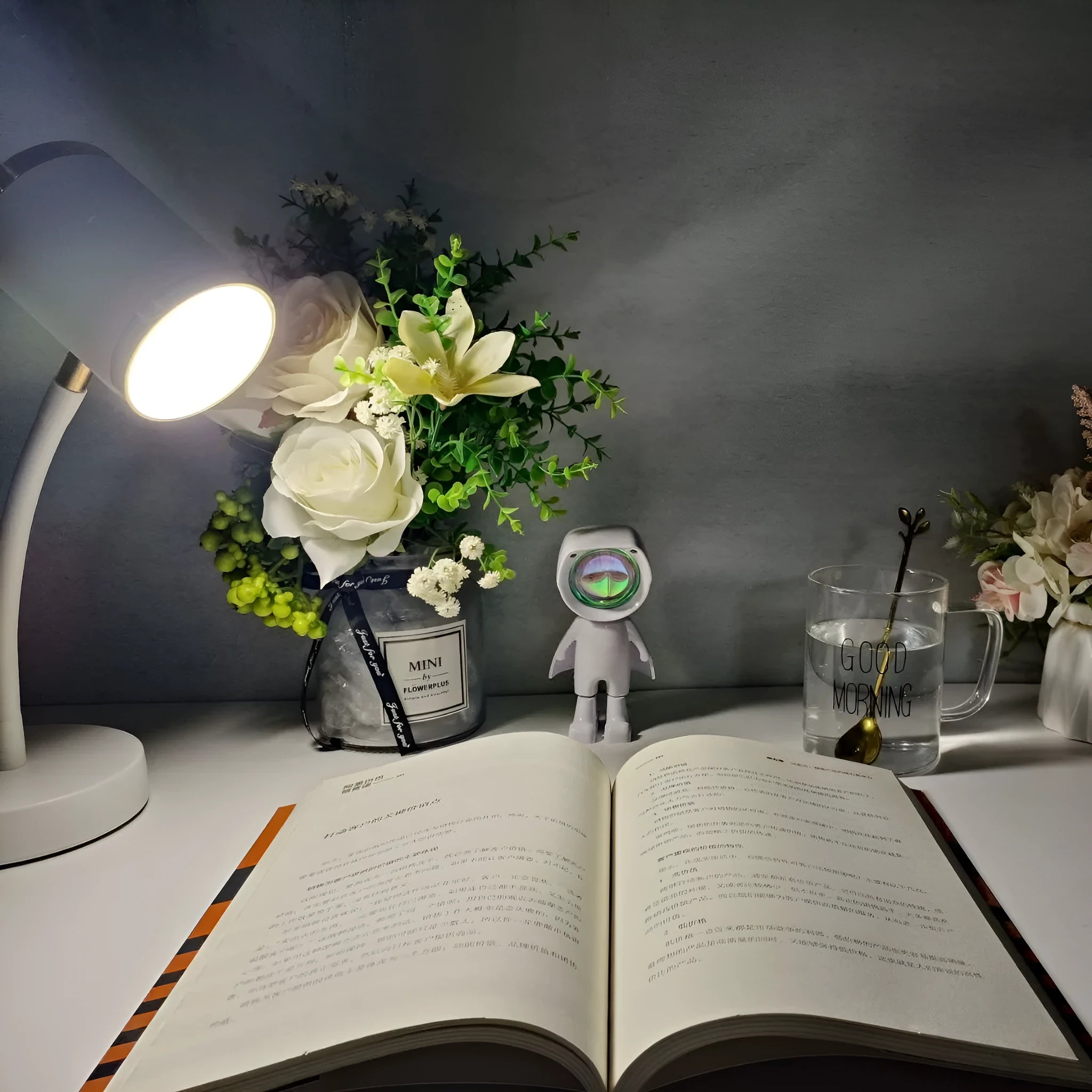 Black double-headed photography streaming desk lamp with metal holder and wire switch