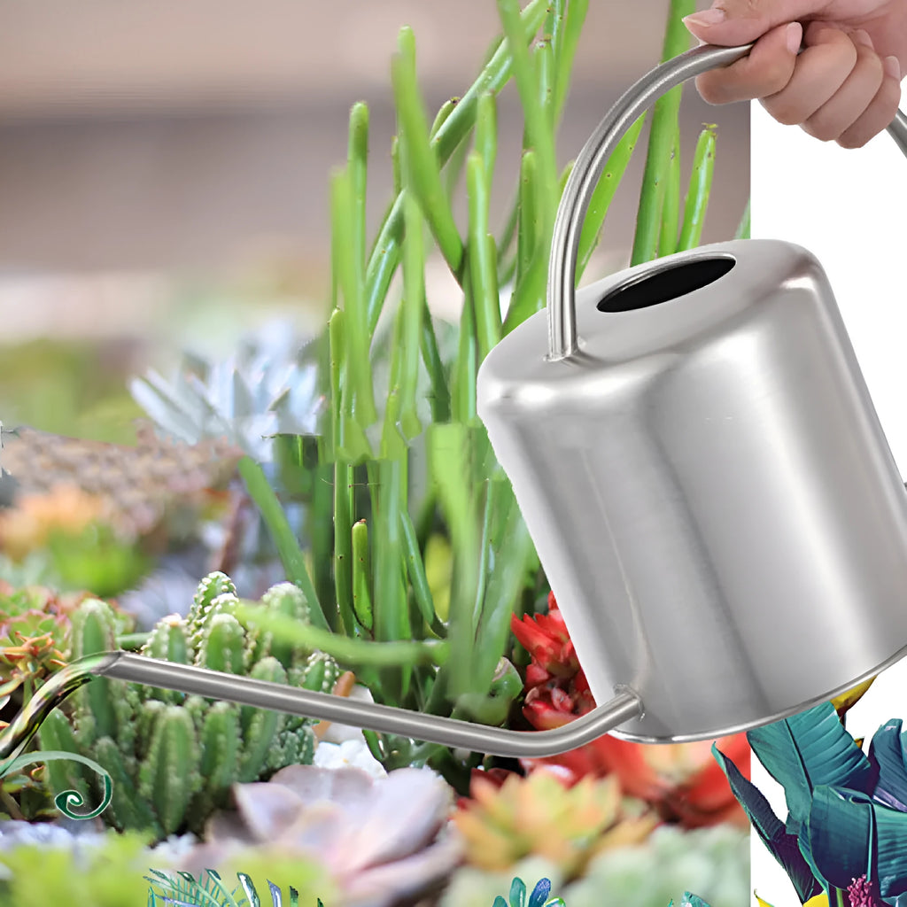 Stainless steel 2 litre watering can with long spout for garden watering