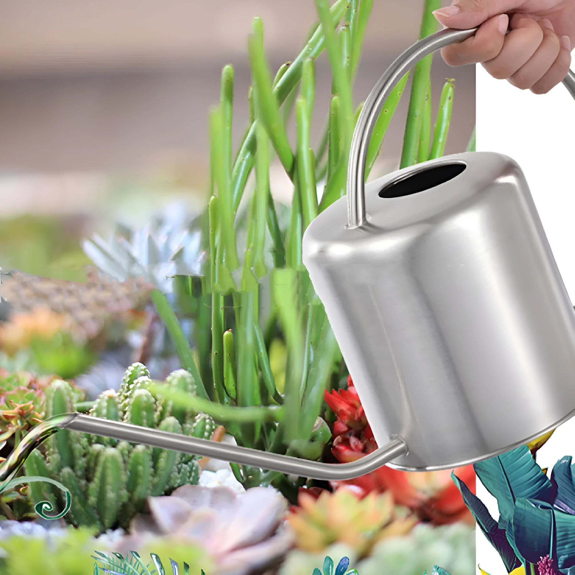 Stainless steel 2 litre watering can with long spout for garden watering