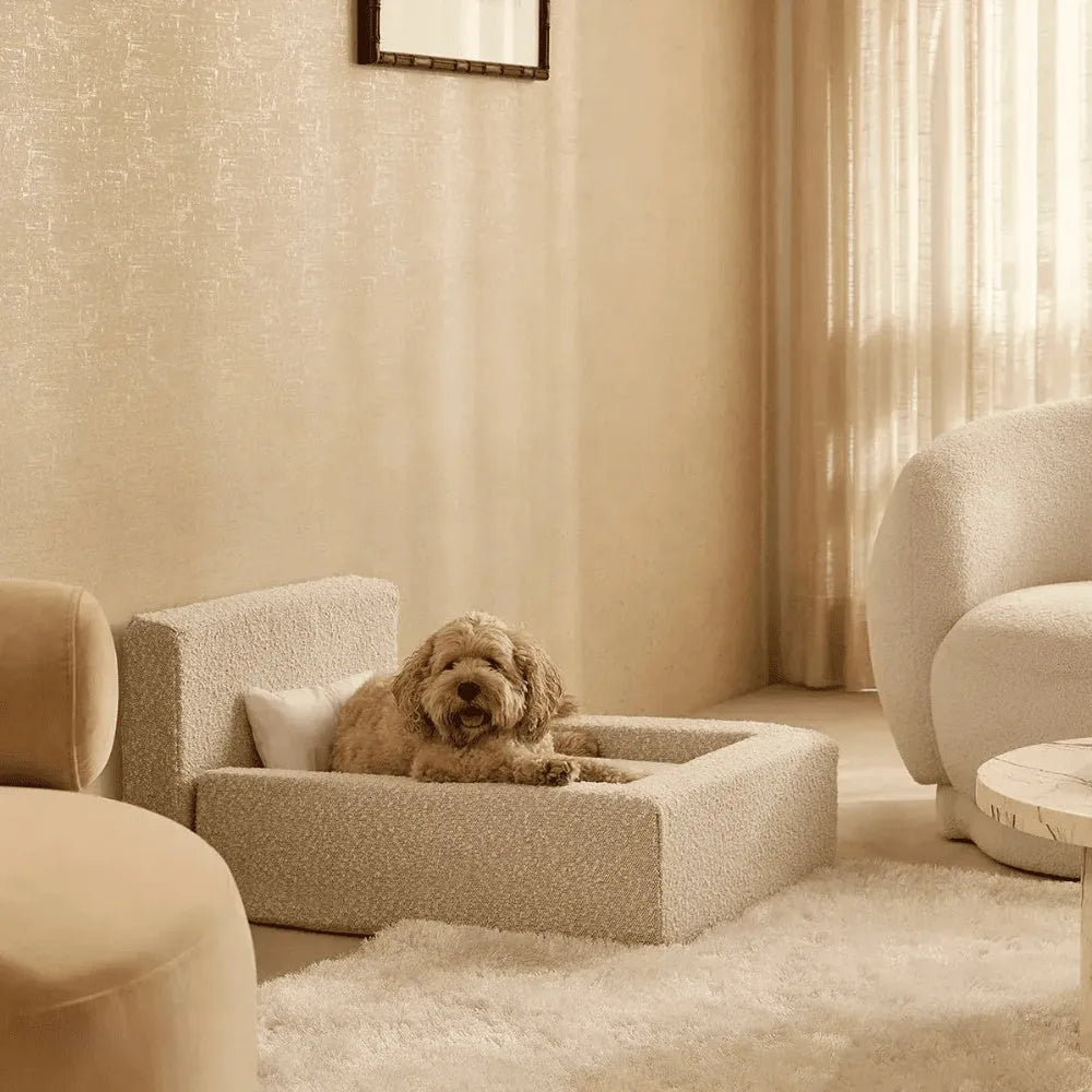 White rectangular dog mat with backrest and sponge filling in L size on a floor